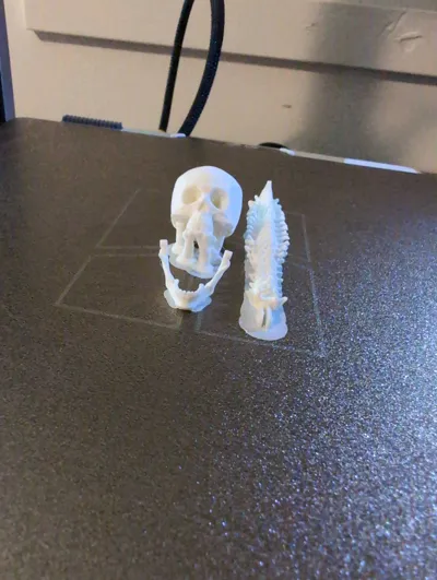 https://makerworld.bblmw.com/makerworld/model/1327872/1365600/ratings/74730290-b308-11f0-aadf-a7cde813f290.jpg