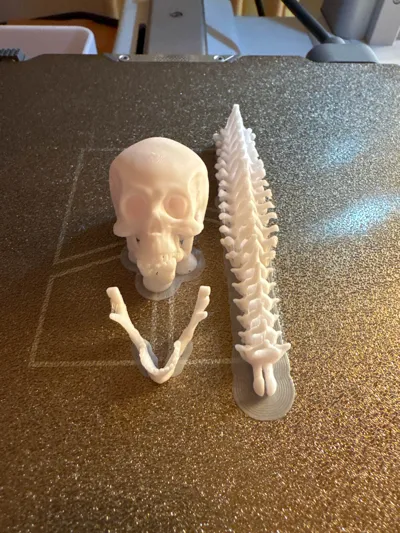 https://makerworld.bblmw.com/makerworld/model/1327872/1532302/ratings/c014f080-ac34-11f0-8a40-295046eba4fe.jpg