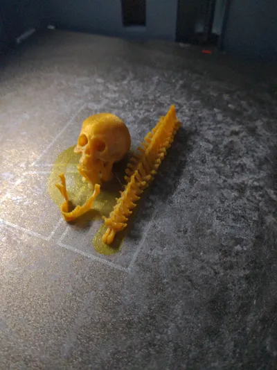 https://makerworld.bblmw.com/makerworld/model/1327872/1532302/ratings/fa0744c0-5e8f-11f0-a8f0-d92a92d5b44f.jpg