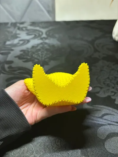https://makerworld.bblmw.com/makerworld/model/1327915/1365648/ratings/a8e3a7e0-65c5-11f0-bbdb-57459537e840.jpg