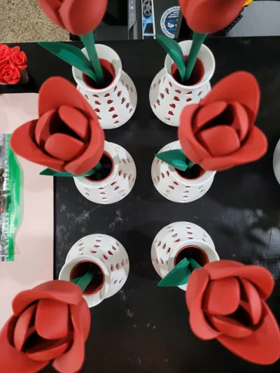 https://makerworld.bblmw.com/makerworld/model/132900/1089475/ratings/54e7ea40-ef5c-11f0-b4af-b5d6c65ddaeb.jpg