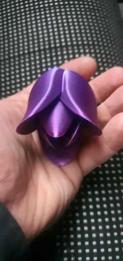 https://makerworld.bblmw.com/makerworld/model/132900/903222/ratings/c3525d70-3531-11f0-93cd-ed918ba1c73b.jpg
