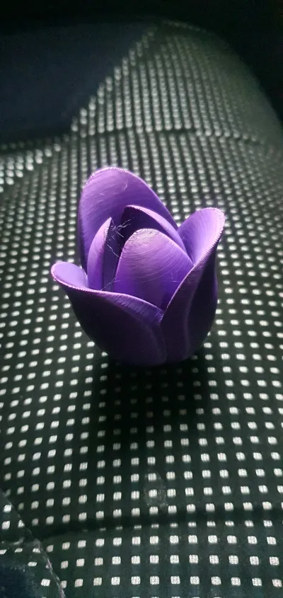 https://makerworld.bblmw.com/makerworld/model/132900/903222/ratings/c39077e0-3531-11f0-93cd-ed918ba1c73b.jpg