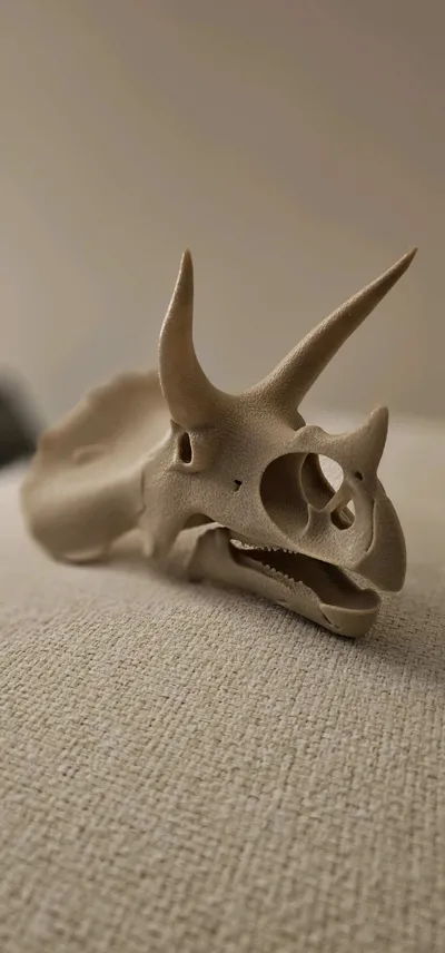 https://makerworld.bblmw.com/makerworld/model/1329873/1367971/ratings/a04e0440-9d74-11f0-8518-31068ff97991.jpg