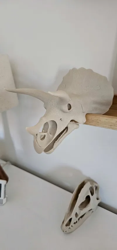 https://makerworld.bblmw.com/makerworld/model/1329873/1367971/ratings/a0524a00-9d74-11f0-8518-31068ff97991.jpg