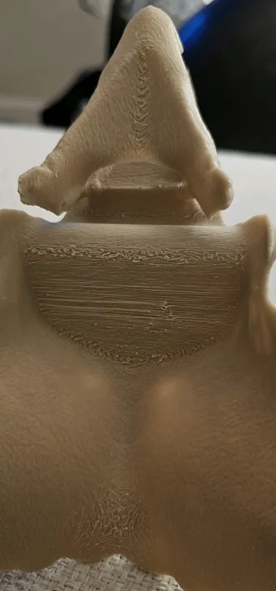 https://makerworld.bblmw.com/makerworld/model/1329873/1367971/ratings/a0753b50-9d74-11f0-8518-31068ff97991.jpg
