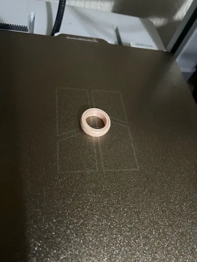 https://makerworld.bblmw.com/makerworld/model/1331435/1369816/ratings/467b5230-b8d4-11f0-9ab2-7d62be753f8c.jpg
