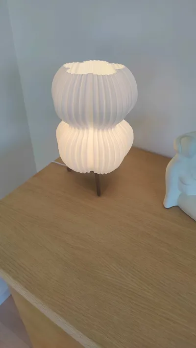 https://makerworld.bblmw.com/makerworld/model/1331820/1370240/ratings/f605b110-a127-11f0-9e13-476bfa20db8a.jpg