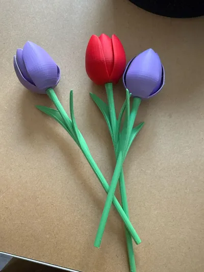 https://makerworld.bblmw.com/makerworld/model/1331914/1370357/ratings/6da5ec70-7915-11f0-a787-ff265ad30d8d.jpg