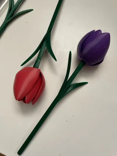 https://makerworld.bblmw.com/makerworld/model/1331914/1370357/ratings/89a85510-590e-11f0-a0eb-ed695208ea99.jpg