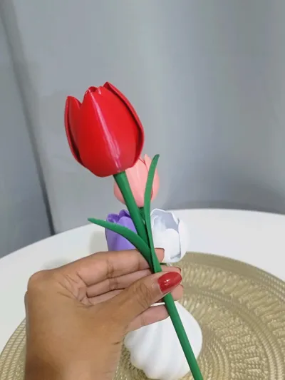https://makerworld.bblmw.com/makerworld/model/1331914/1370357/ratings/b8946b50-87aa-11f0-8cf4-cb171225d33a.jpg