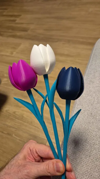 https://makerworld.bblmw.com/makerworld/model/1331914/1370357/ratings/c3dfcd50-f966-11f0-8b84-93e77f916fb2.jpg