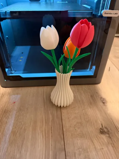 https://makerworld.bblmw.com/makerworld/model/1331914/2179608/ratings/395b95f0-f58e-11f0-8687-83fa3370ffd0.jpg