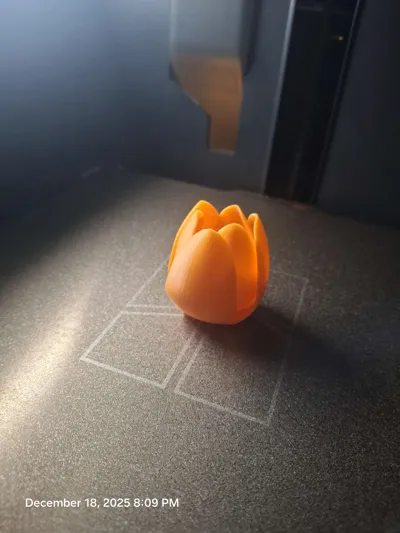 https://makerworld.bblmw.com/makerworld/model/1331914/2179608/ratings/6f39c000-dc77-11f0-8874-2f1ae3217a57.jpg