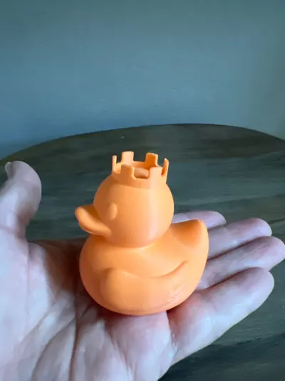 https://makerworld.bblmw.com/makerworld/model/1332280/1370791/ratings/0036fae0-237e-11f0-b900-3fde8c84363e.jpg