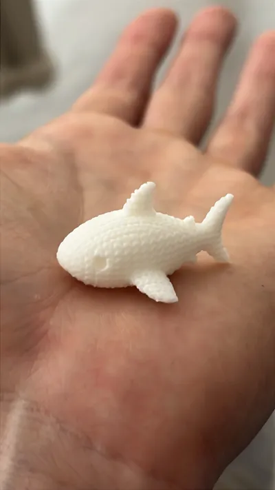 https://makerworld.bblmw.com/makerworld/model/1333059/1371782/ratings/9978b190-34ee-11f0-9da5-ebfdeda57961.jpg