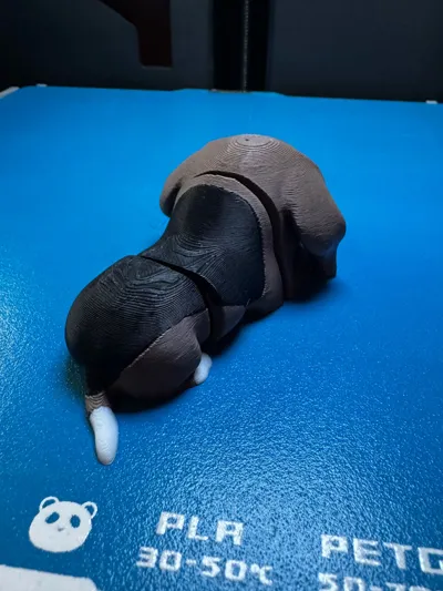 https://makerworld.bblmw.com/makerworld/model/1335716/1374953/ratings/4b05e940-204b-11f0-b2b7-2da98d7dc01d.jpg