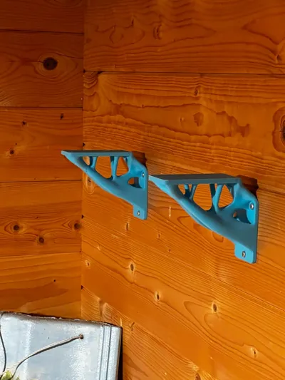 https://makerworld.bblmw.com/makerworld/model/1336087/1375380/ratings/1a7e6e10-e408-11f0-baee-811d957deb99.jpg