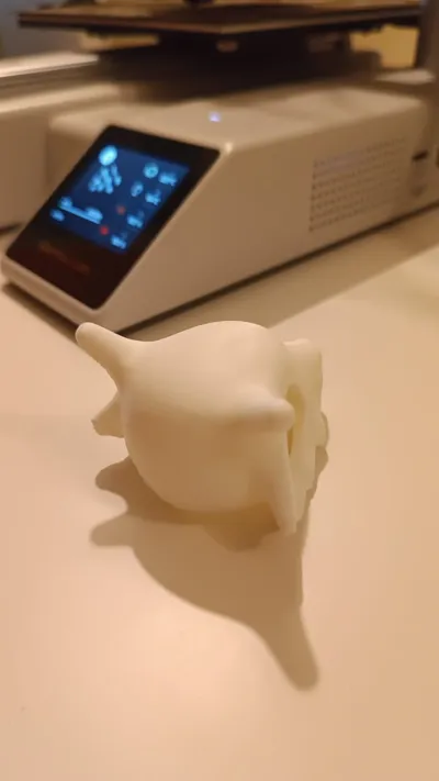 https://makerworld.bblmw.com/makerworld/model/1337212/1376765/ratings/2026-01-16_677adb00e50b9.jpeg
