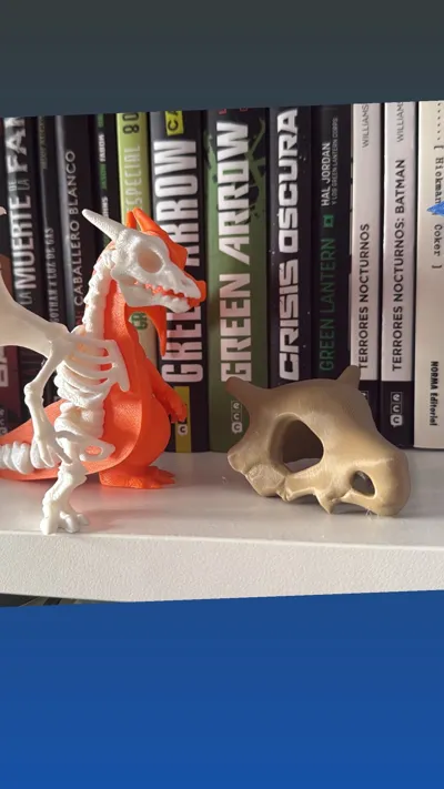 https://makerworld.bblmw.com/makerworld/model/1337212/1376765/ratings/246aa470-e174-11f0-ae56-495d063fdc31.jpg
