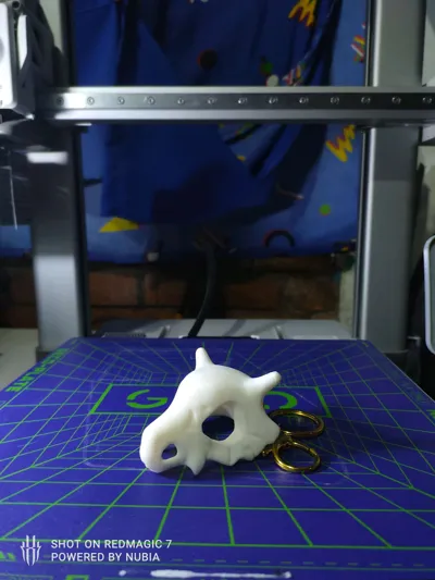 https://makerworld.bblmw.com/makerworld/model/1337212/1376765/ratings/4f8707f0-dee2-11f0-90c0-57bd03a857b2.jpg
