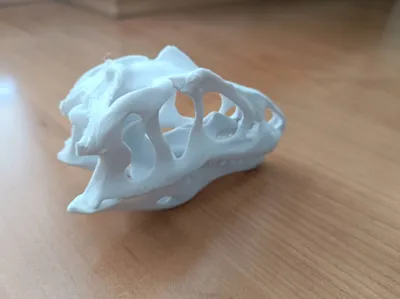 https://makerworld.bblmw.com/makerworld/model/1337257/1376822/ratings/481d99e0-9de0-11f0-a8f7-e52035adcc83.jpg