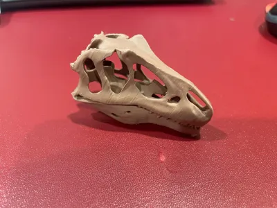 https://makerworld.bblmw.com/makerworld/model/1337257/1376830/ratings/9bfcb820-9f0c-11f0-8a41-db48c6fc6825.jpg