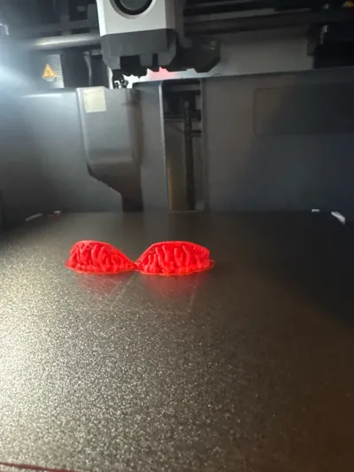 https://makerworld.bblmw.com/makerworld/model/1337306/1376892/ratings/487c2960-b762-11f0-8b85-5d616d95ed74.jpg