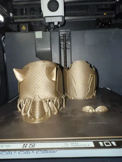 https://makerworld.bblmw.com/makerworld/model/1337306/1573270/ratings/9c52a720-7edd-11f0-b3d8-0f43af9038f8.jpg