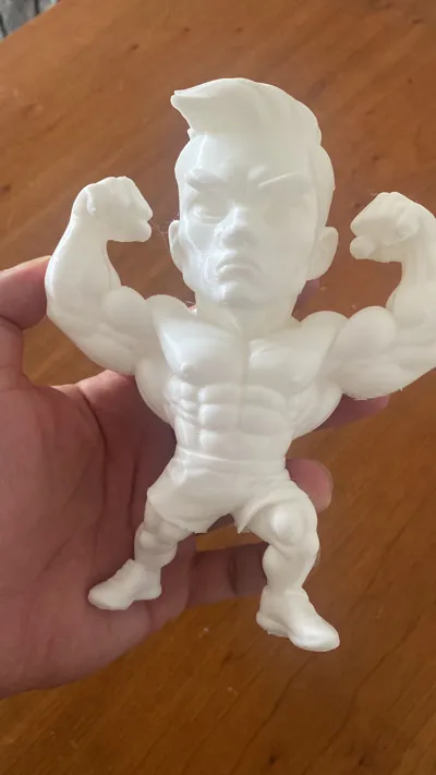 https://makerworld.bblmw.com/makerworld/model/1338920/1378945/ratings/c174cba0-6588-11f0-a8e2-33dcb965e4f2.jpg
