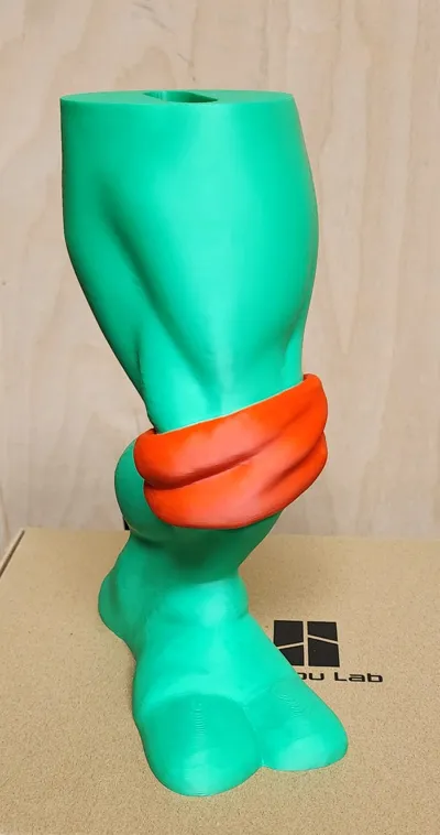 https://makerworld.bblmw.com/makerworld/model/1340291/1380679/ratings/40a147d0-9a2e-11f0-850e-e1ad70ac9bf6.jpg