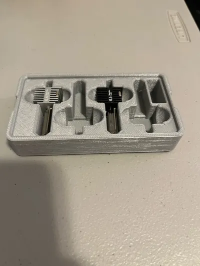 https://makerworld.bblmw.com/makerworld/model/134043/145486/ratings/cd54e040-88e7-11f0-b69b-dd88f9452b33.jpg
