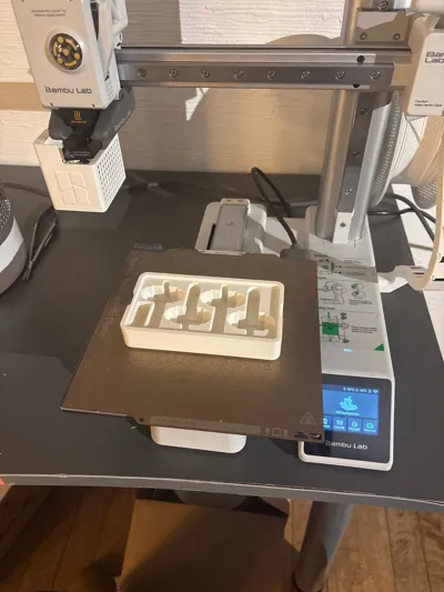 https://makerworld.bblmw.com/makerworld/model/134043/155001/ratings/6e352ee0-d922-11f0-90e8-1f9da4d2573e.jpg