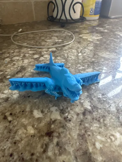 https://makerworld.bblmw.com/makerworld/model/1340497/1381532/ratings/75571ff0-39c5-11f0-bb09-e5e2dabce16e.jpg