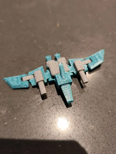 https://makerworld.bblmw.com/makerworld/model/1341793/1382437/ratings/55dd4f10-7ae2-11f0-85a2-c96aec2919f5.jpg