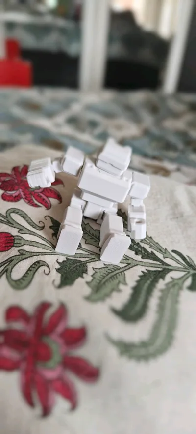 https://makerworld.bblmw.com/makerworld/model/1342778/1383664/ratings/5045e6a0-32f5-11f0-9a9f-61fe2c81fc57.jpg