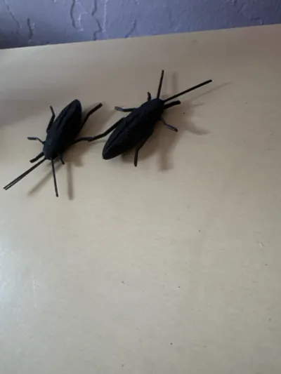 https://makerworld.bblmw.com/makerworld/model/134291/145764/ratings/b0c2b460-cb14-11f0-bee6-fbe7f15f2fcc.jpg