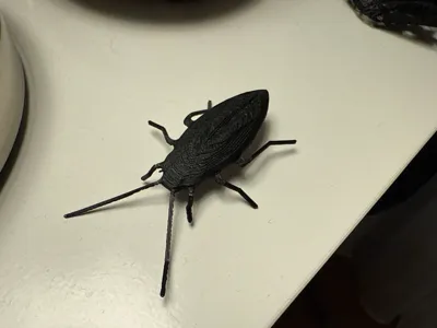 https://makerworld.bblmw.com/makerworld/model/134291/145764/ratings/c3144740-9d61-11f0-9a38-e9445fa523c9.jpg