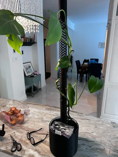 https://makerworld.bblmw.com/makerworld/model/1345352/1386756/ratings/4c3ba8c0-8b78-11f0-a39a-712aef64b36a.jpg