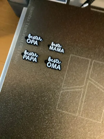 https://makerworld.bblmw.com/makerworld/model/1346134/1483143/ratings/bcaeee10-6336-11f0-b5cb-4d37d7c76a48.jpg