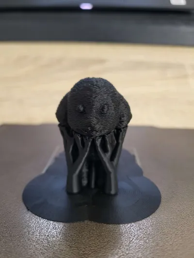 https://makerworld.bblmw.com/makerworld/model/1347078/1501404/ratings/7d7ce570-56b2-11f0-bca2-9d629d069788.jpg