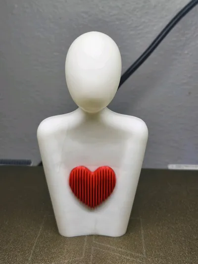 https://makerworld.bblmw.com/makerworld/model/1347110/1391860/ratings/28de19b0-2770-11f0-888e-496b0d1cb2b5.jpg