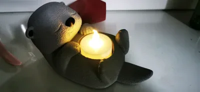 https://makerworld.bblmw.com/makerworld/model/1347432/1389390/ratings/4e026940-87fa-11f0-af4a-a55d47ee952f.jpg