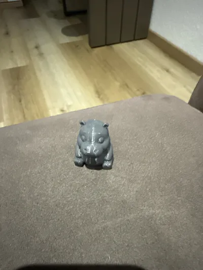 https://makerworld.bblmw.com/makerworld/model/1347513/1389506/ratings/44d06540-666a-11f0-88b3-657aa9ff2835.jpg