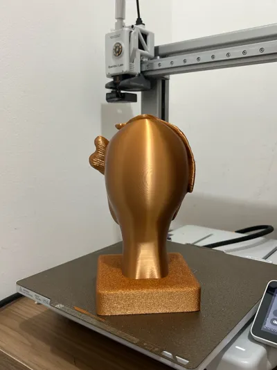 https://makerworld.bblmw.com/makerworld/model/1348719/1391392/ratings/85fd0880-58db-11f0-822a-93927f03c5af.jpg
