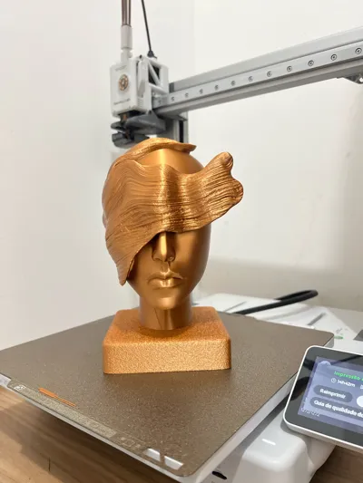 https://makerworld.bblmw.com/makerworld/model/1348719/1391392/ratings/8602fbf0-58db-11f0-822a-93927f03c5af.jpg