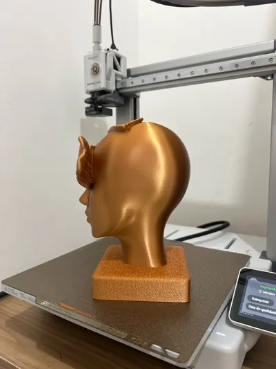 https://makerworld.bblmw.com/makerworld/model/1348719/1391392/ratings/86037120-58db-11f0-822a-93927f03c5af.jpg