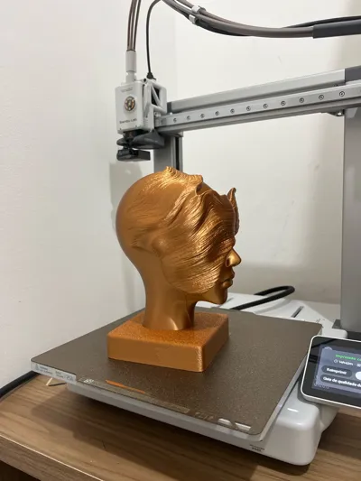 https://makerworld.bblmw.com/makerworld/model/1348719/1391392/ratings/86039830-58db-11f0-822a-93927f03c5af.jpg