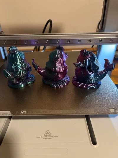 https://makerworld.bblmw.com/makerworld/model/1348743/1390984/ratings/78ede8c0-30a5-11f0-8ce6-d93d962b1cc7.jpg