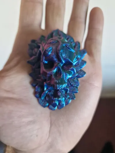 https://makerworld.bblmw.com/makerworld/model/1350057/1392524/ratings/1bf559c0-3026-11f0-b574-1101b863d83f.jpg